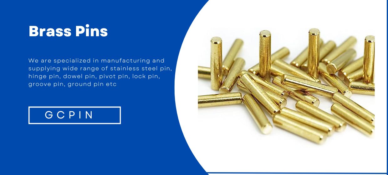 Stainless Steel Pins